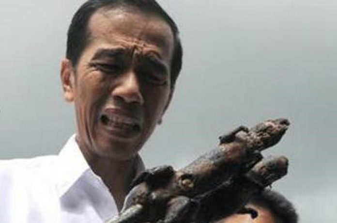 Jokowi Hobi ‘Cuci Tangan’