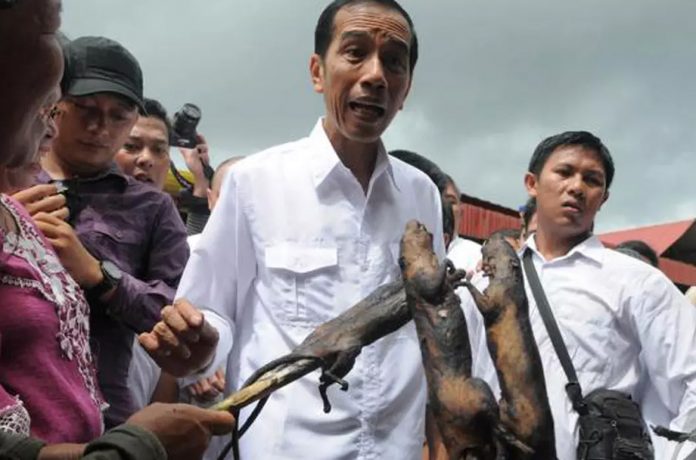 Jokowi ‘Peternak’ Kalajengking