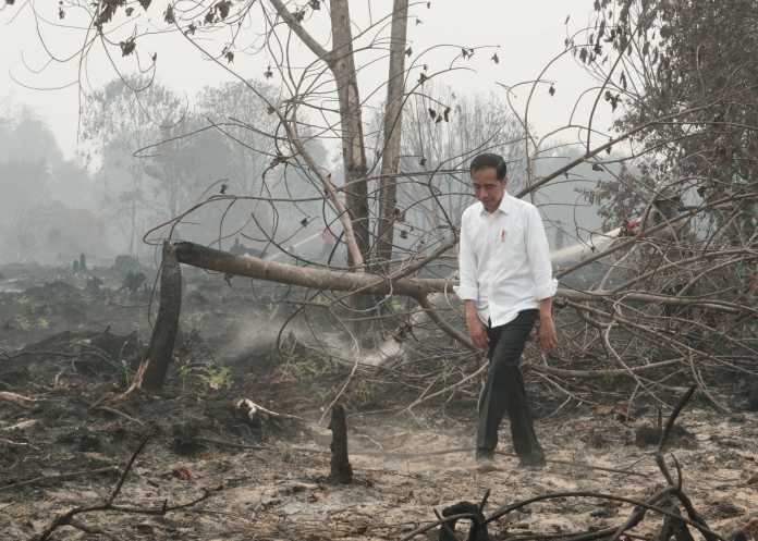 Alam dalam Perencanaan Pembangunan Indonesia