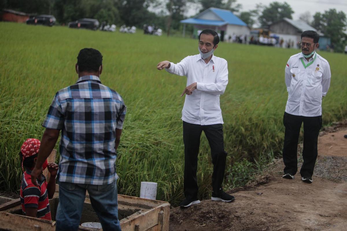 Di Balik Kekhawatiran Pangan Jokowi