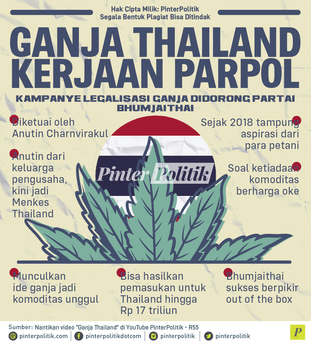 infografis ganja thailand kerjaan parpol