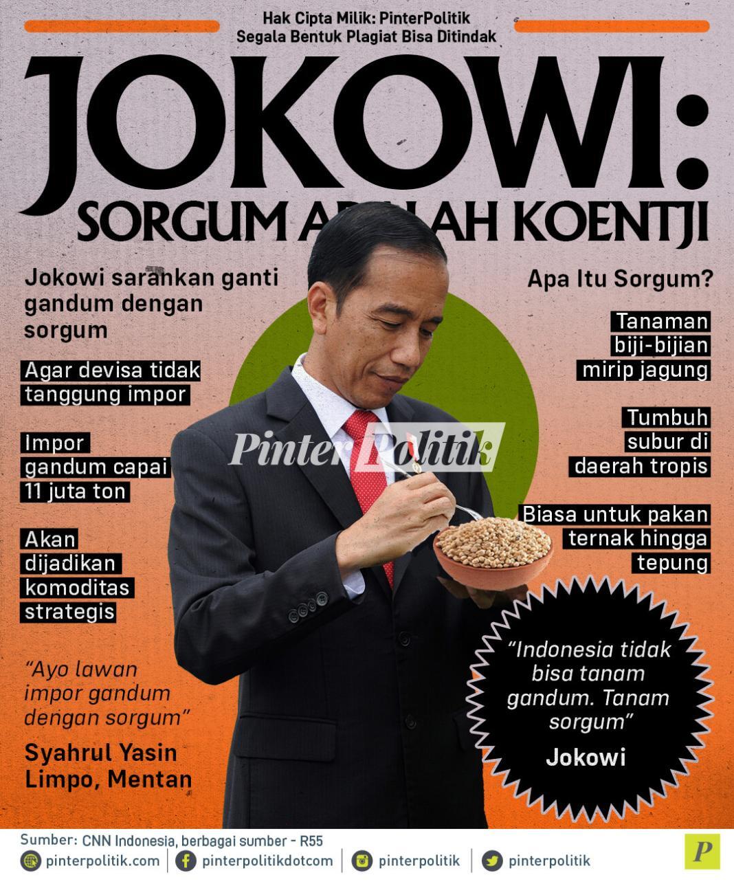 Jokowi: Sorgum Adalah Koentji