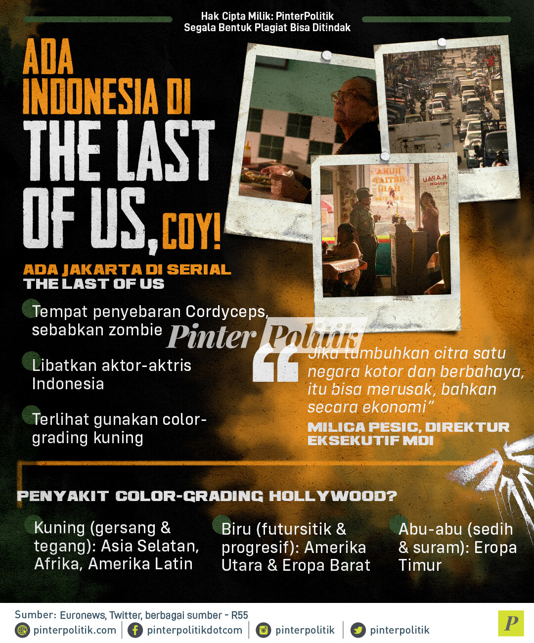 infografis ada indonesia di the last of us coy