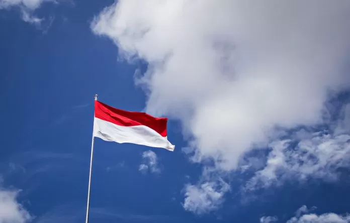 Angsa Hitam untuk Indonesia