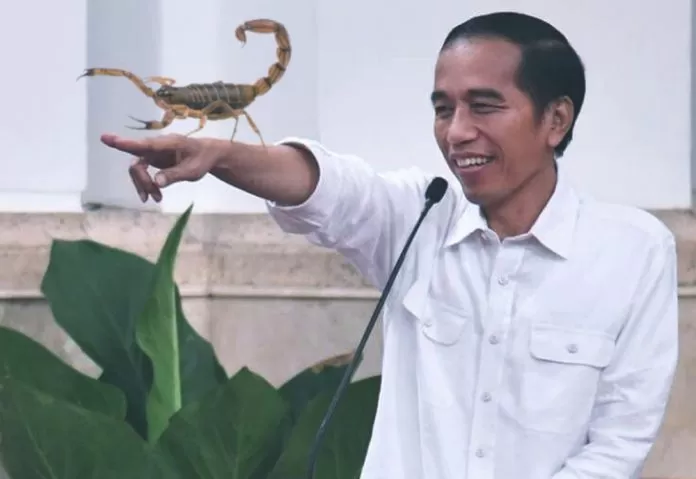 Kalajengking, Jurus Proteksi Jokowi