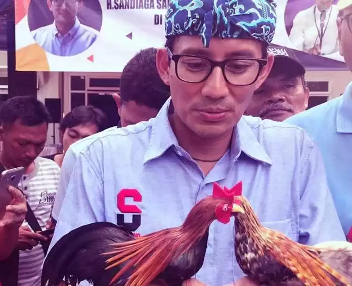 Di Balik Kampanye Ayam-Ayaman Sandi
