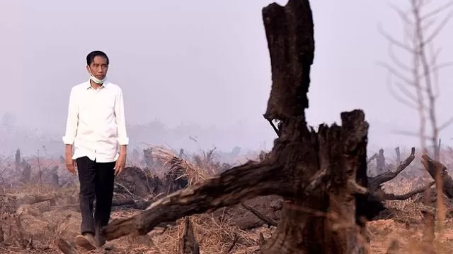 Kebakaran Hutan Bikin Malu Jokowi?