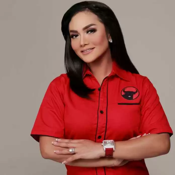 Krisdayanti Anggota DPR, Jaring Angin?