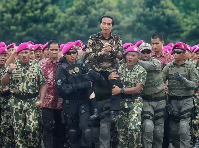 Jabatan Fungsional TNI, Manuver Jokowi