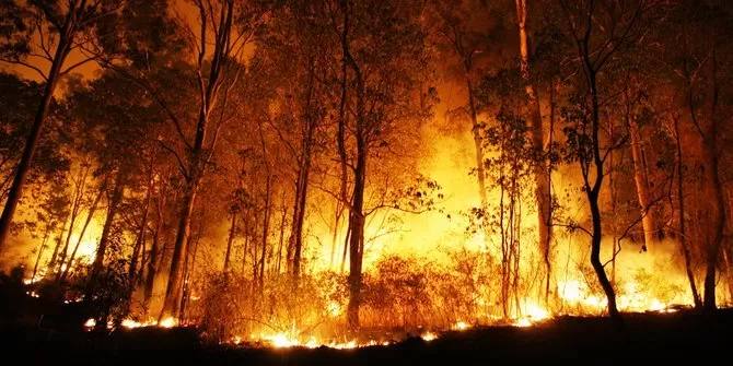 Karhutla : Antara Korporasi Melawan Lelembut