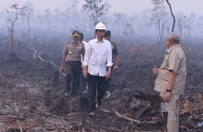 Kebakaran Hutan, Jokowi Selamatkan Muka?
