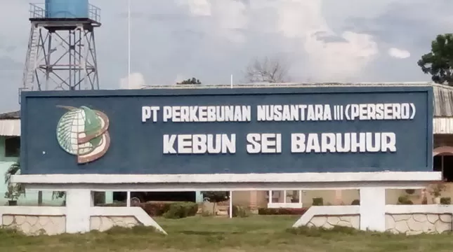 Kemen BUMN Perkuat Direksi Holding Perkebunan