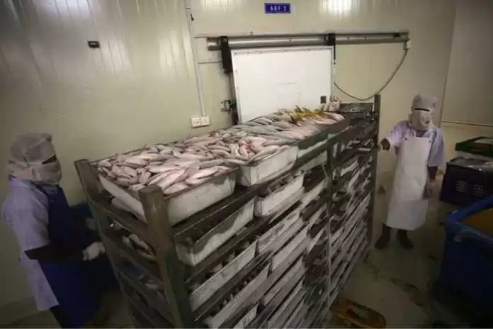 Nelayan Natuna butuh cold storage