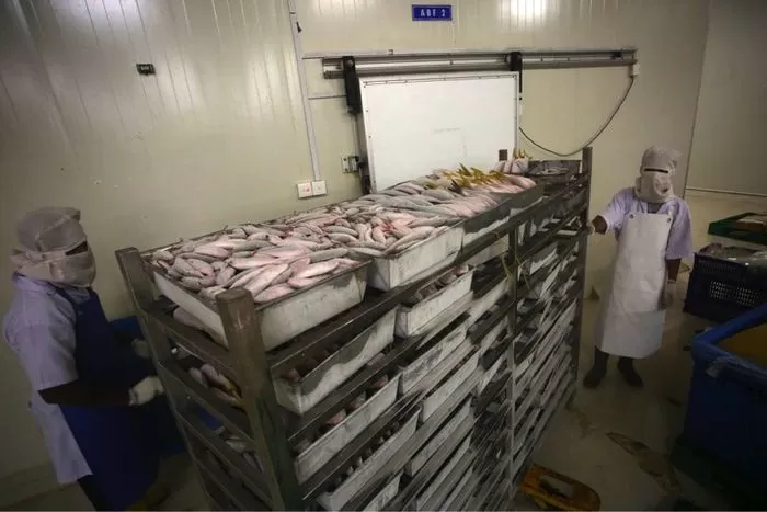 Nelayan Natuna butuh cold storage