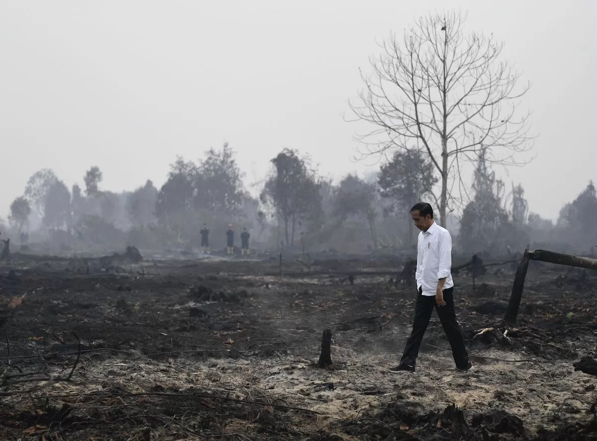 Hari Bumi Refleksi Politik Lingkungan Indonesia