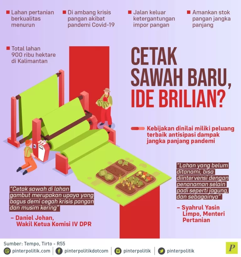 Kebijakan Cetak Sawah Baru