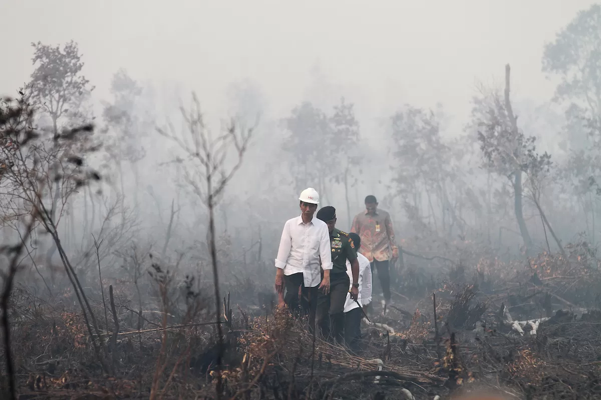 Lingkungan Hidup Tutupnya Mata Pemerintah