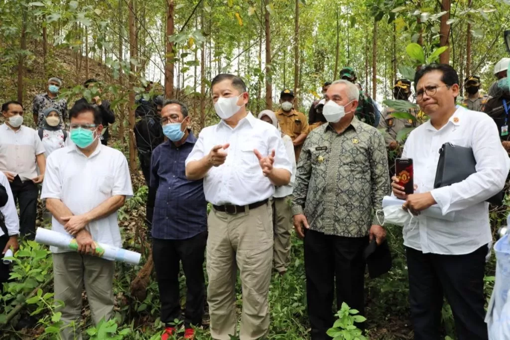 Menyoal Pesawat Elon Musk di IKN