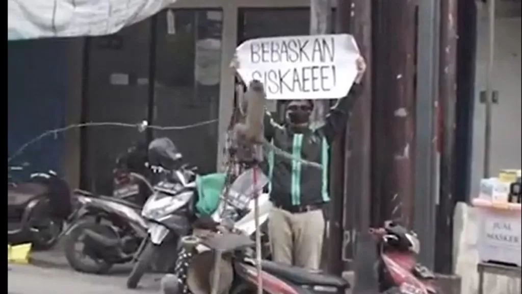 Fenomena Siskaeee, Kritik Penegakan Hukum?