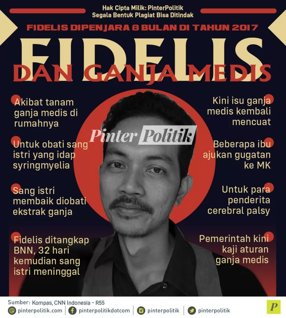 infografis fidelis dan ganja medis