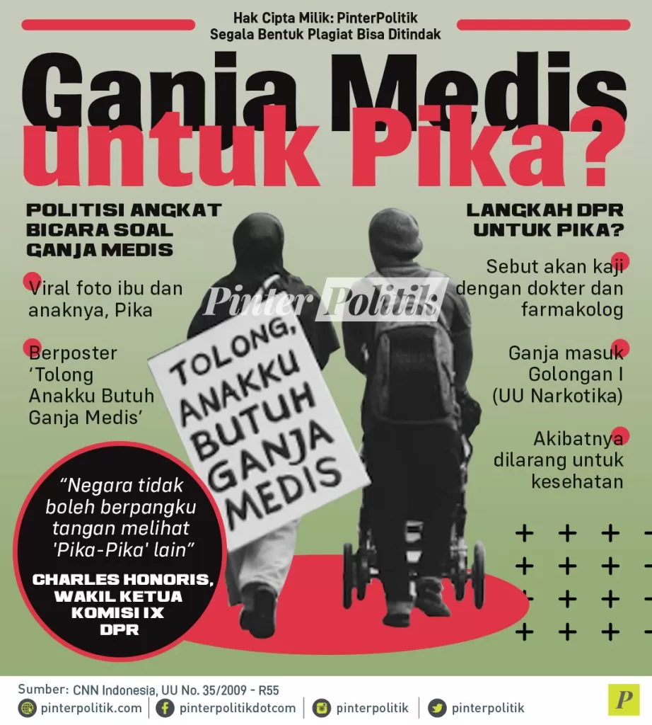 infografis ganja medis untuk pika