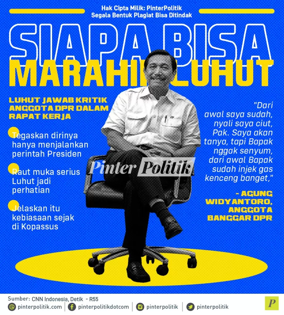 infografis siapa bisa marahin luhut
