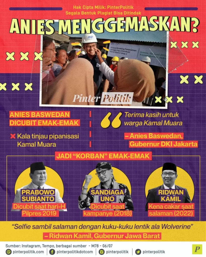 anies menggemaskan ed.