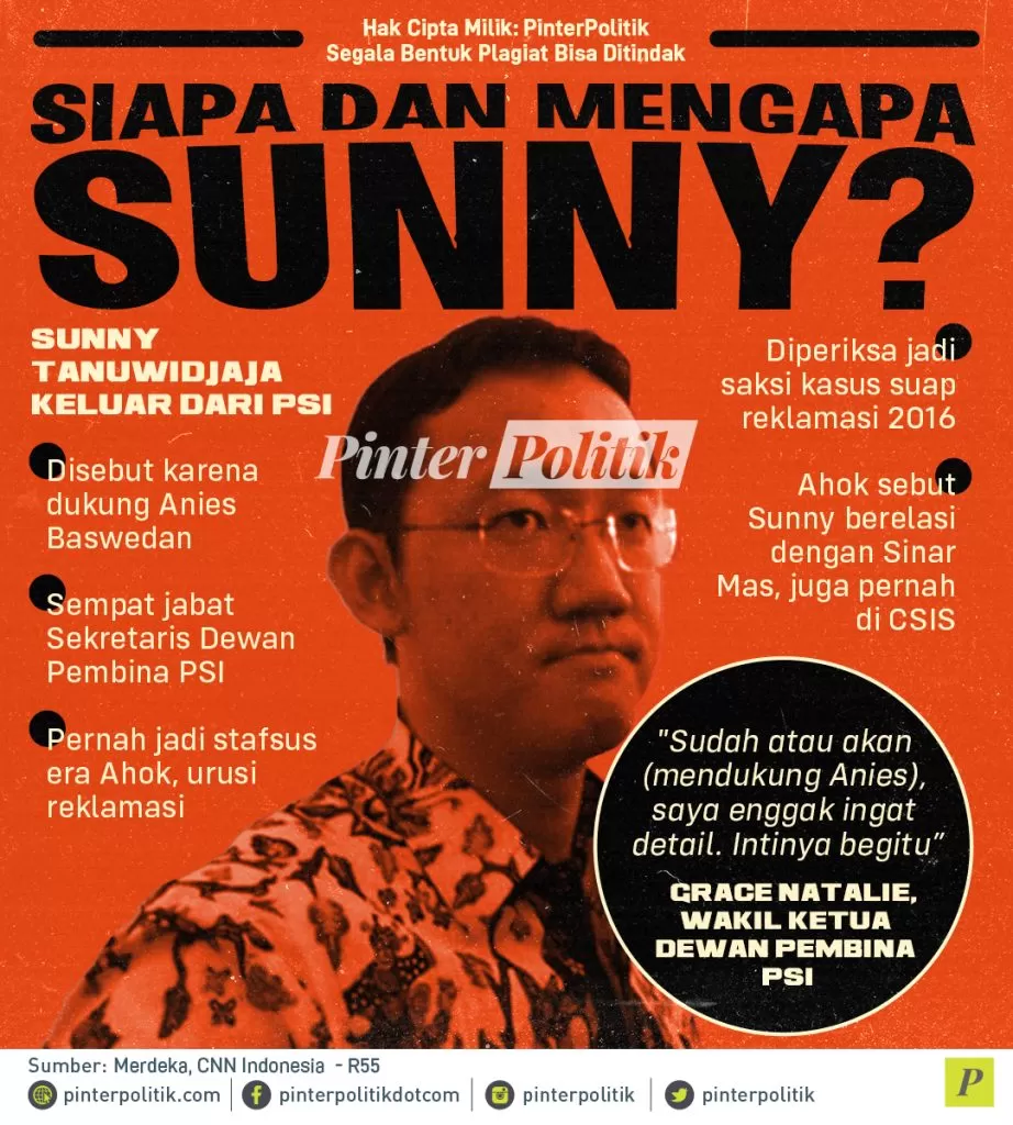 infografis siapa dan mengapa sunny 1