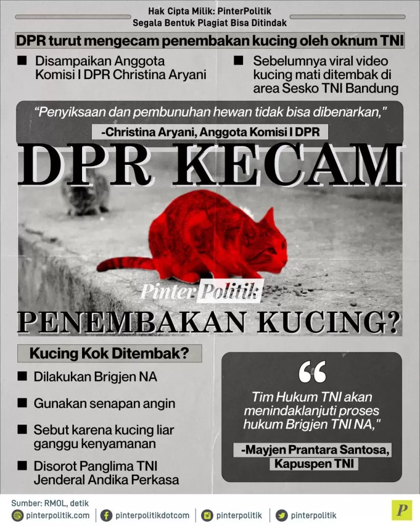 dpr kecam penembakan kucing