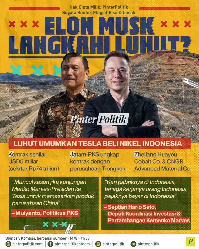 elon musk langkahi luhut ed.