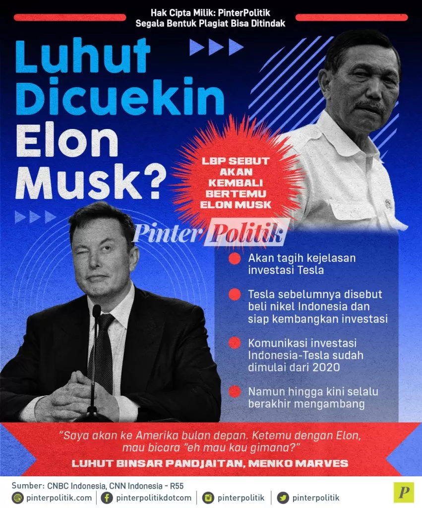 infografis luhut dicuekin elon musk