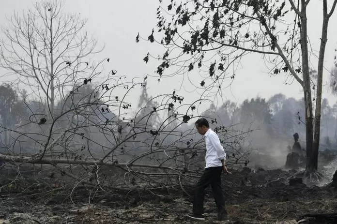 jokowi karhutla