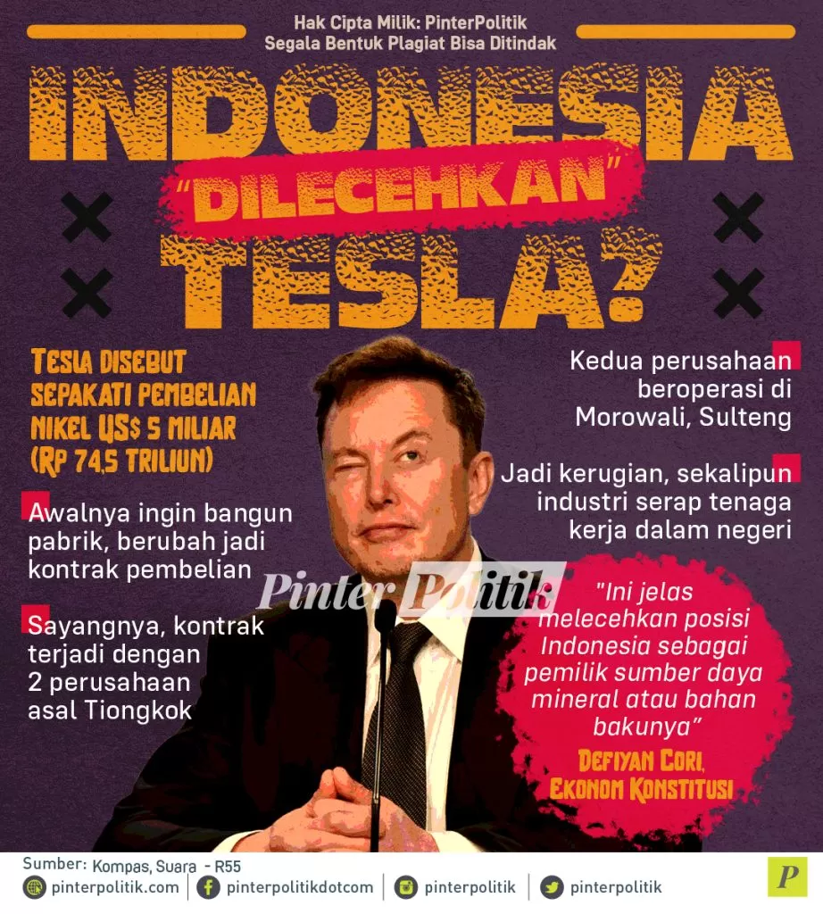 infografis indonesia dilecehkan tesla