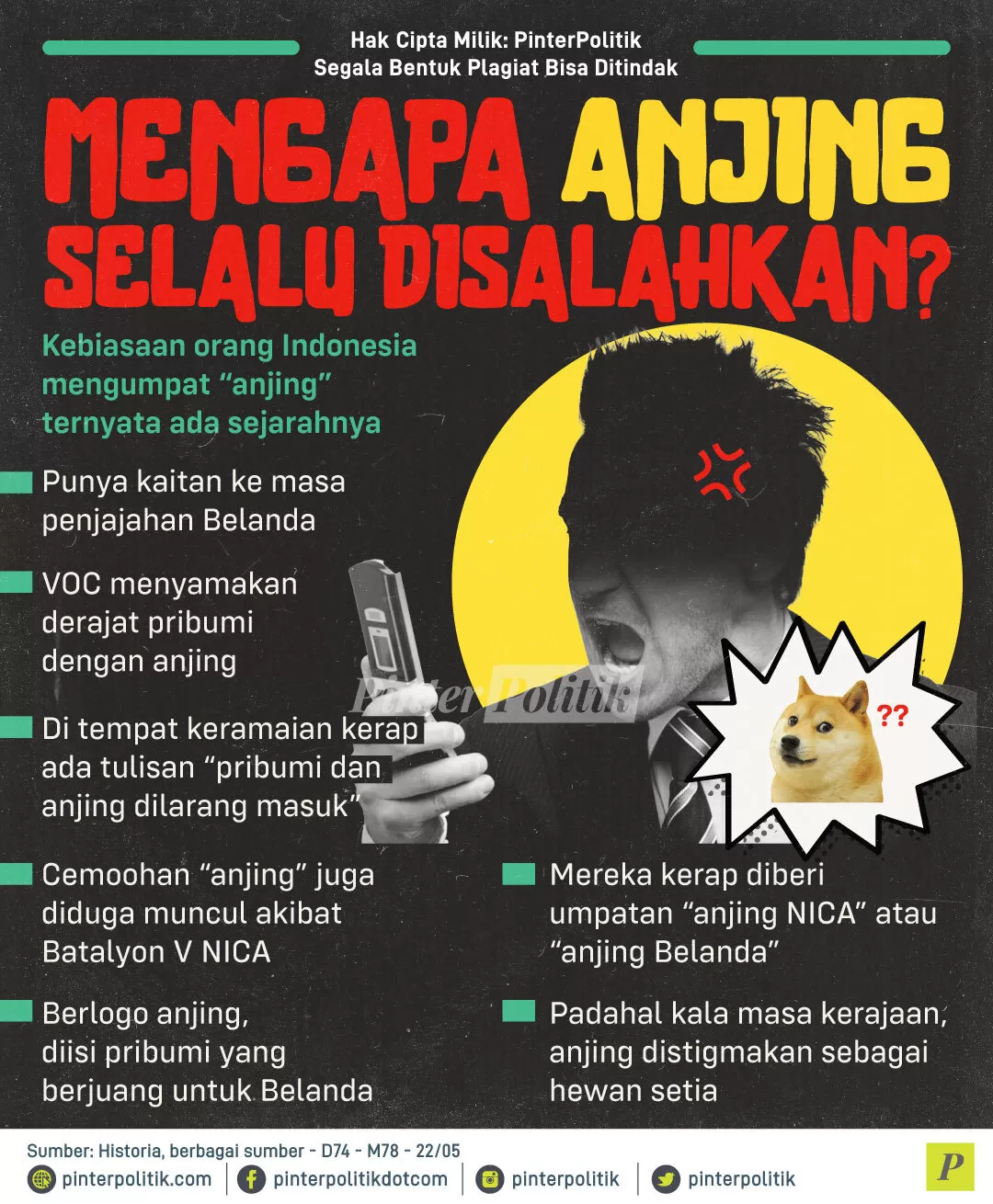 mengapa anjing selalu disalahkan