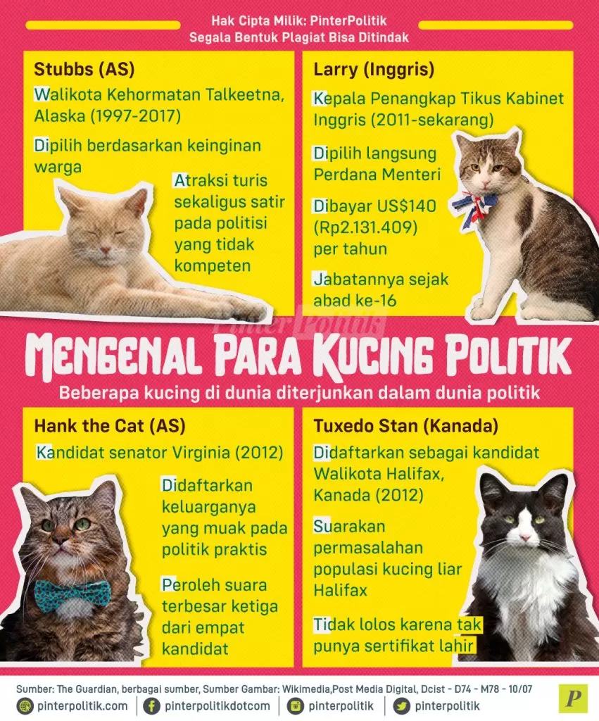 mengenal para kucing politik