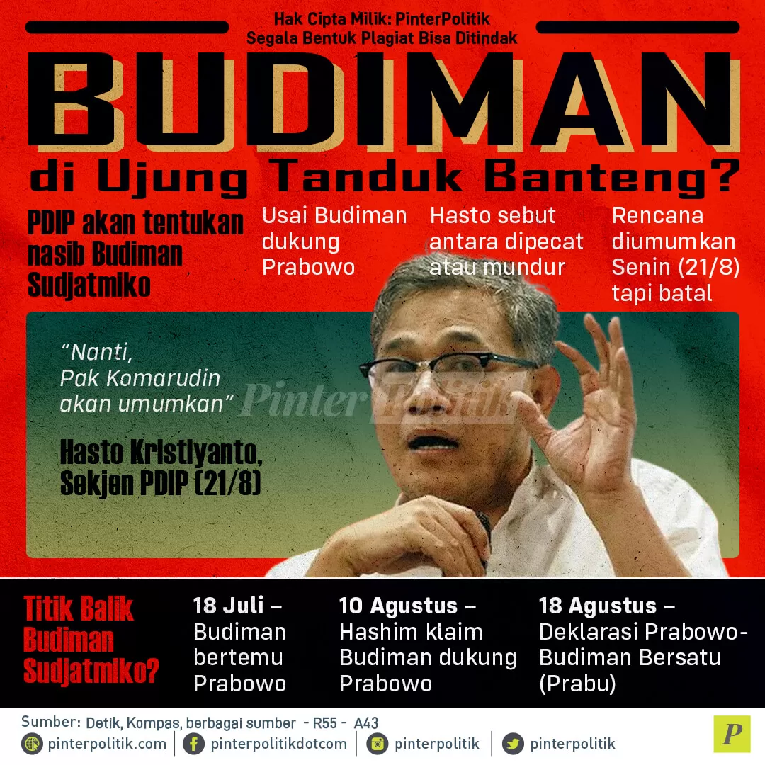 infografis budiman di ujung tanduk banteng