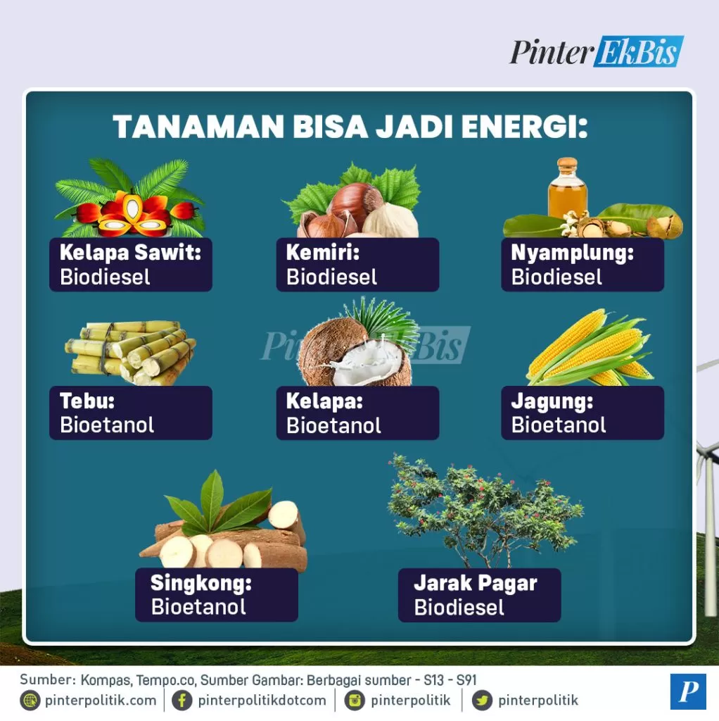 benarkah prabowo mampu swasembada energiartboard 1 2