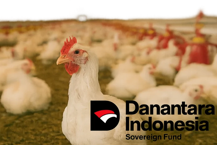 20251113 1700 peternakan ayam transparan remix 01k9yad87efdj97w2wq5z9nn77