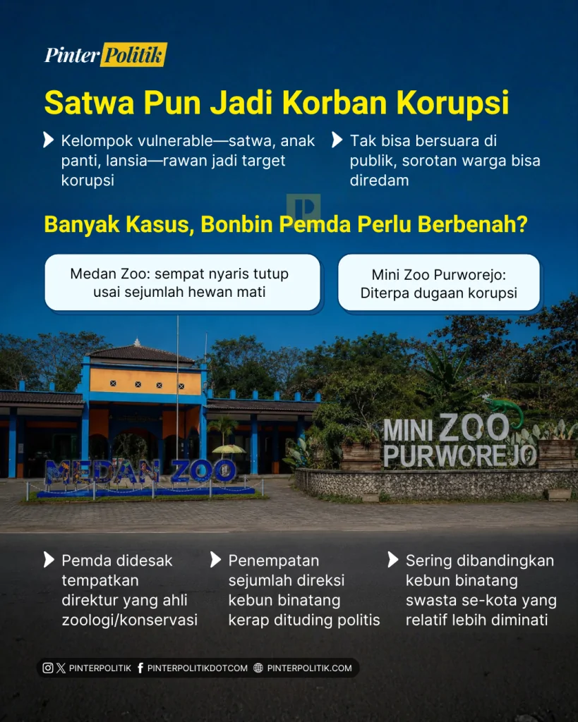 miris! pakan satwa pun dikorupsi (3)